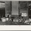 Backyard of shack in "Shantytown," Spencer, Iowa