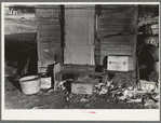 Backyard of shack in "Shantytown," Spencer, Iowa