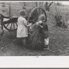Children of Earl Pauley, playing with dolls in tumbleweed, near Smithland, Iowa