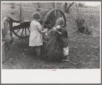 Children of Earl Pauley, playing with dolls in tumbleweed, near Smithland, Iowa