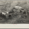 Livestock shelter on Charles Banta farm near Anthon, Iowa