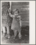 One of Ed Boltinger's children. Boltinger is a tenant of an insurance company farm, near Ringgold, Iowa