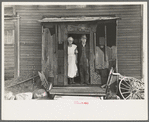 Mr. and Mrs. John Landers, tenant farmers, at the backdoor of their farmhouse, near Marseilles, Illinois