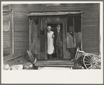 Mr. and Mrs. John Landers, tenant farmers, at the backdoor of their farmhouse, near Marseilles, Illinois