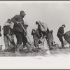 Working on the levee at Bird's Point, Missouri during the height of the flood