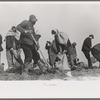 Working on the levee at Bird's Point, Missouri during the height of the flood