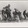 Working on the levee at Bird's Point, Missouri during the height of the flood