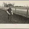 Tip Estes carrying tiles to load on a wagon, Fowler, Indiana