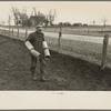 Tip Estes carrying tiles to load on a wagon, Fowler, Indiana
