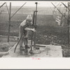 Late afternoon. One of Tip Estes' sons disconnects pipe from the windmill pump. Fowler, Indiana