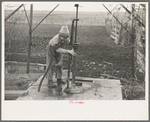 Late afternoon. One of Tip Estes' sons disconnects pipe from the windmill pump. Fowler, Indiana