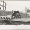 Late afternoon. One of Tip Estes' sons loading tiles on a wagon, Fowler, Indiana