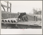 Late afternoon. One of Tip Estes' sons loading tiles on a wagon, Fowler, Indiana