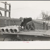 Late afternoon. One of Tip Estes' sons loading tiles on a wagon, Fowler, Indiana