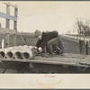 Late afternoon. One of Tip Estes' sons loading tiles on a wagon, Fowler, Indiana