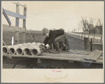 Late afternoon. One of Tip Estes' sons loading tiles on a wagon, Fowler, Indiana