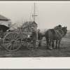 6:15 a.m. After hitching his horses to the oat seeder, Tip Estes prepares to go out in the fields, Fowler, Indiana