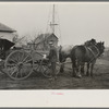 6:15 a.m. After hitching his horses to the oat seeder, Tip Estes prepares to go out in the fields, Fowler, Indiana