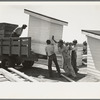 Southeast Missouri Farms Project. Loading completed privy houses on truck for delivery to site