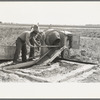 Food storage, pouring foundations. Southeast Missouri Farms Project