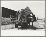 Southeast Missouri Farms Project. Transportation; privies being loaded onto truck. Wood cribbing is for privy well