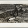 Southeast Missouri Farms Project. Fitting culvert between main road and farm drive