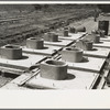 Privy plant. Sanitary pre-cast concrete privy bases after stripping of forms. Southeast Missouri Farms Project