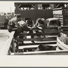 Farmers at auction looking at livestock, Sikeston, Missouri