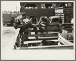 Farmers at auction looking at livestock, Sikeston, Missouri