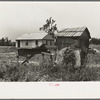 Privy and primitive henhouse with new house in the rear, Southeast Missouri Farms