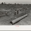 Southeast Missouri Farms Project. Drainage ditch