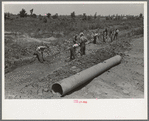 Southeast Missouri Farms Project. Drainage ditch