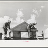 Food storage. Erecting shop assembled gable ends. Southeast Missouri Farms Project