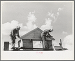 Food storage. Erecting shop assembled gable ends. Southeast Missouri Farms Project