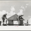 Food storage. Erecting shop assembled gable ends. Southeast Missouri Farms Project