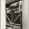 Spectators at cattle auction, Sikeston, Missouri