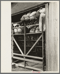 Spectators at cattle auction, Sikeston, Missouri