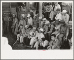 Farmers at livestock auction, Sikeston, Missouri