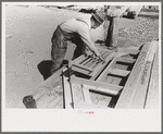 Setting louver in gable and frame, house plant, Southeast Missouri Farms Project yard