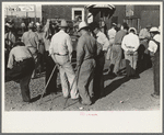 Group of farmers at auction with auction assistants resting on canes used for guiding livestock, Sikeston, Missouri