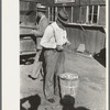 Farmer eating peach at livestock auction, Sikeston, Missouri