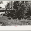 Black Bayou ditch in Bird's Point, New Madrid Fuse Plug Levee District