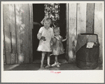 Children of sharecropper, cut-over farmer of Mississippi bottoms