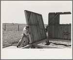 Barn erection, raising panel to sill, Southeast Missouri Farms Project