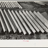 Food storage plant. Stack of feed storage gable ends. Southeast Missouri Farms Project