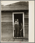 Children of John Mathews, near Black River Falls, Wisconsin