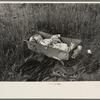 Baby of Daisy Heath, near Black River Falls, Wisconsin. Mrs. Heath lives alone on two acres of land
