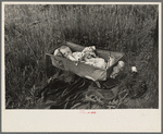 Baby of Daisy Heath, near Black River Falls, Wisconsin. Mrs. Heath lives alone on two acres of land