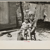 Children of Alonzo Heath, farmer near Black River Falls, Wisconsin