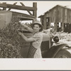 Wife of pea farmer at vinery near Sun Prairie, Wisconsin